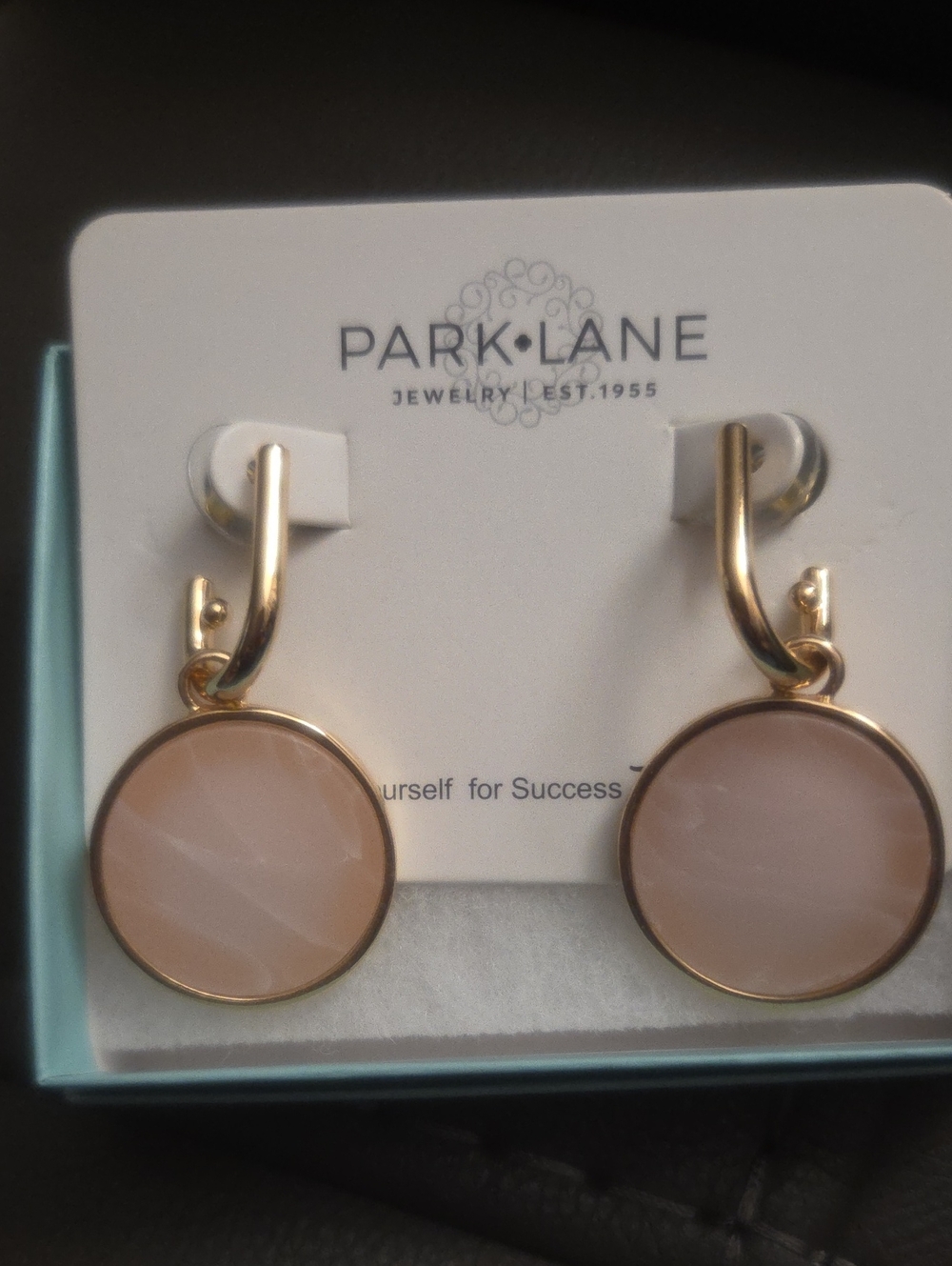 Park Lane Blush Pink and Gold Round Drop Earrings
